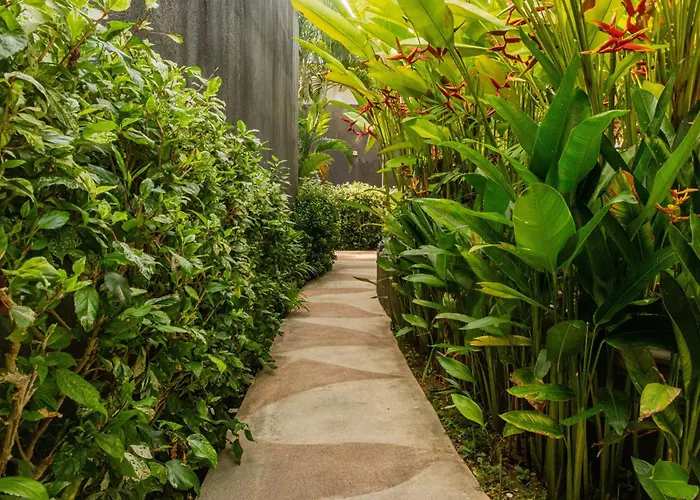 Taman Mesari Luxury Villas-seminyak Villa *